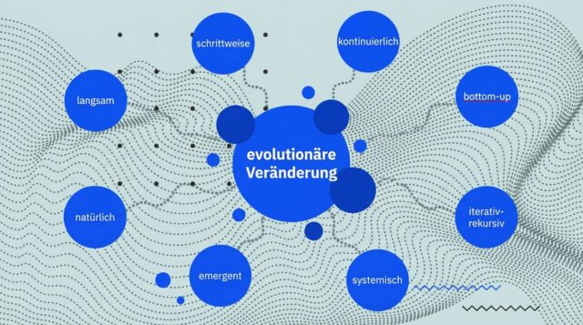 seitz-home-organisationsentwicklung-grafik