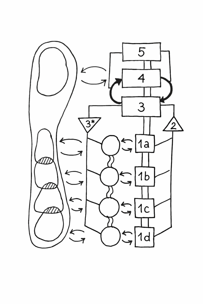 seitz-blog-VSM-illustration